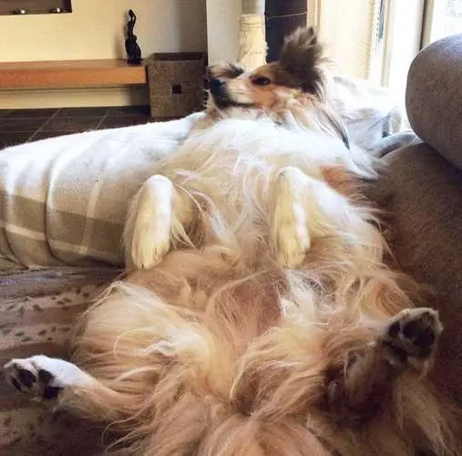 Typical Tilly